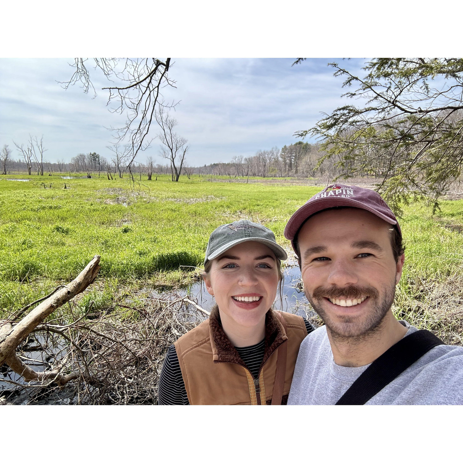 Birding in MA - April 2024