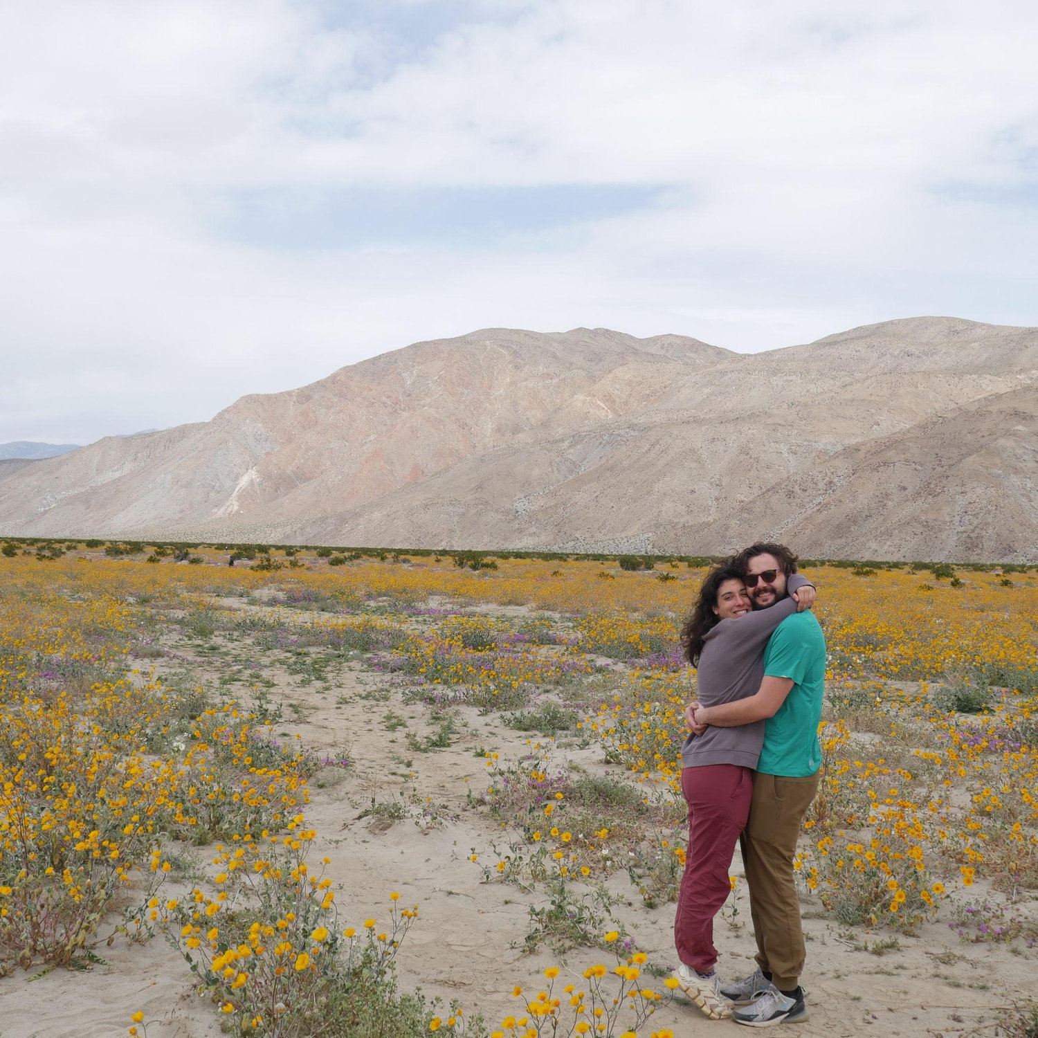 Anza Borrego - Spring 2024