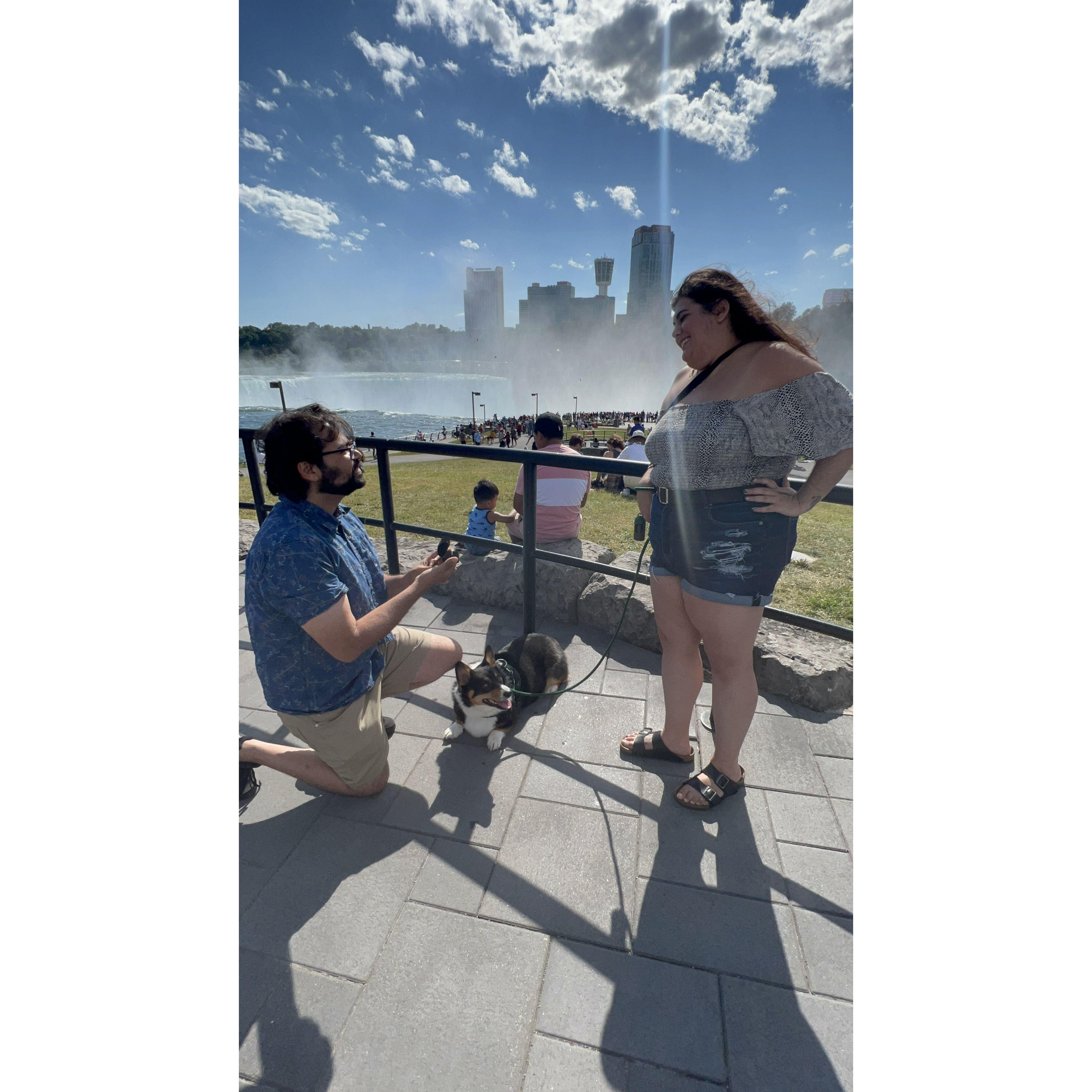 Our engagement at Horseshoe Falls!