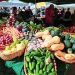 Delray Beach GreenMarket