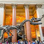 American Museum of Natural History & Planetarium