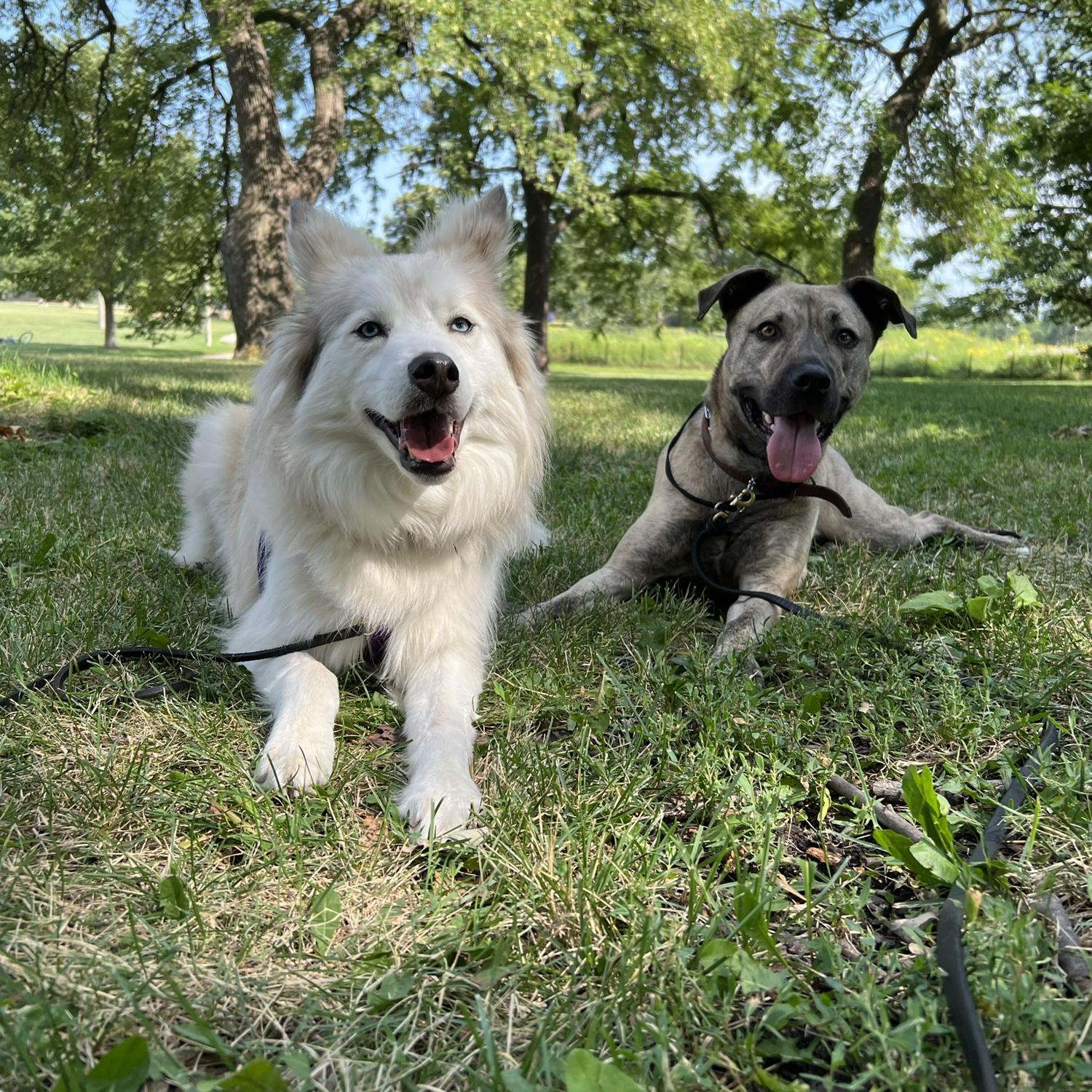 Eden and ghost