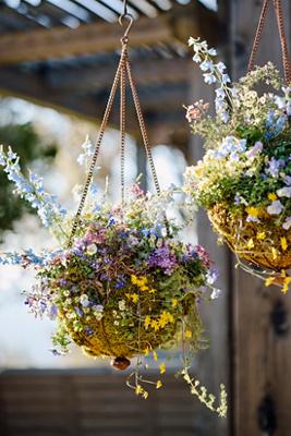 Scalloped Iron Wire Hanging Basket