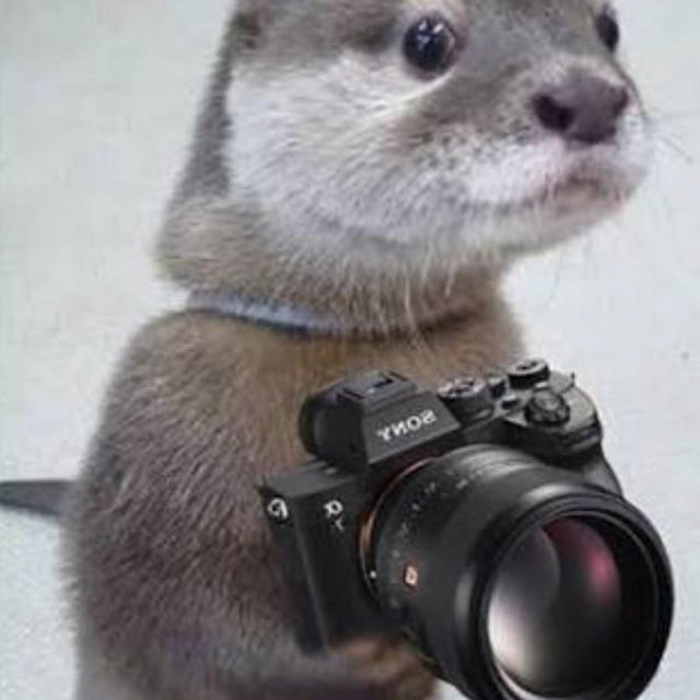 Wedding Photographer & Photos