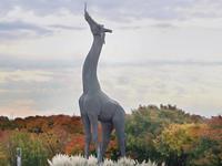 Dallas Zoo