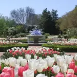 Atlanta Botanical Garden