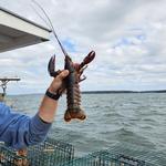 Lucky Catch Cruises