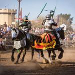 Renaissance Festival