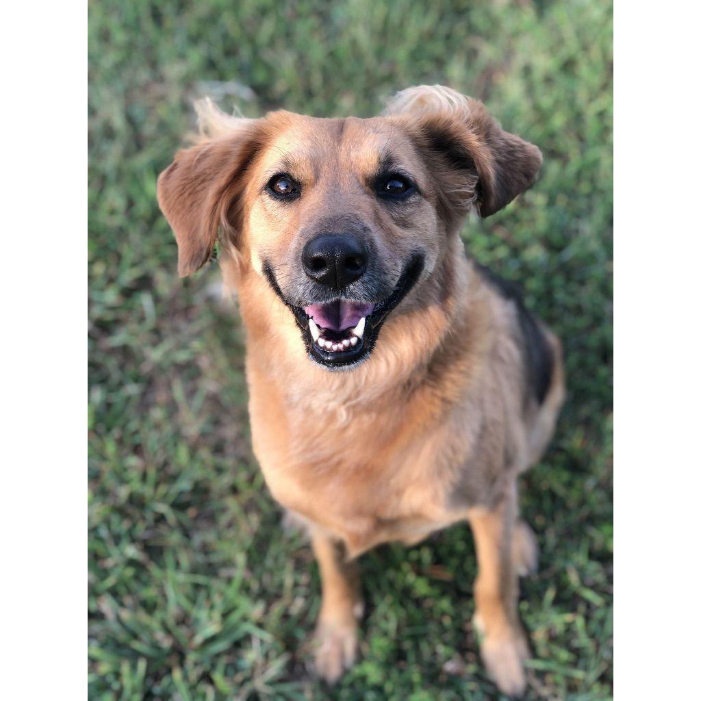 Wiley is always so happy to see her mom :)