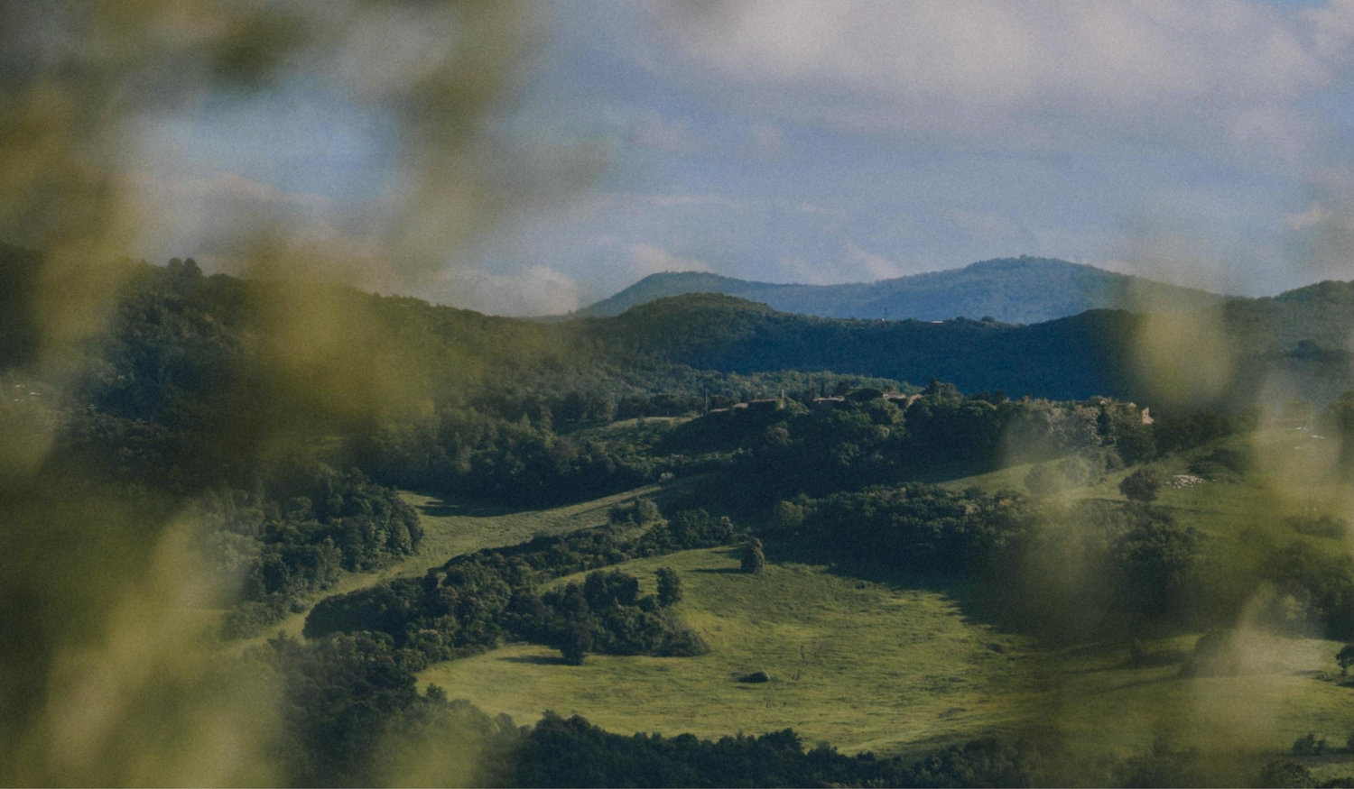 Footer image