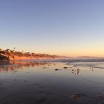 Fletcher Cove Beach Park
