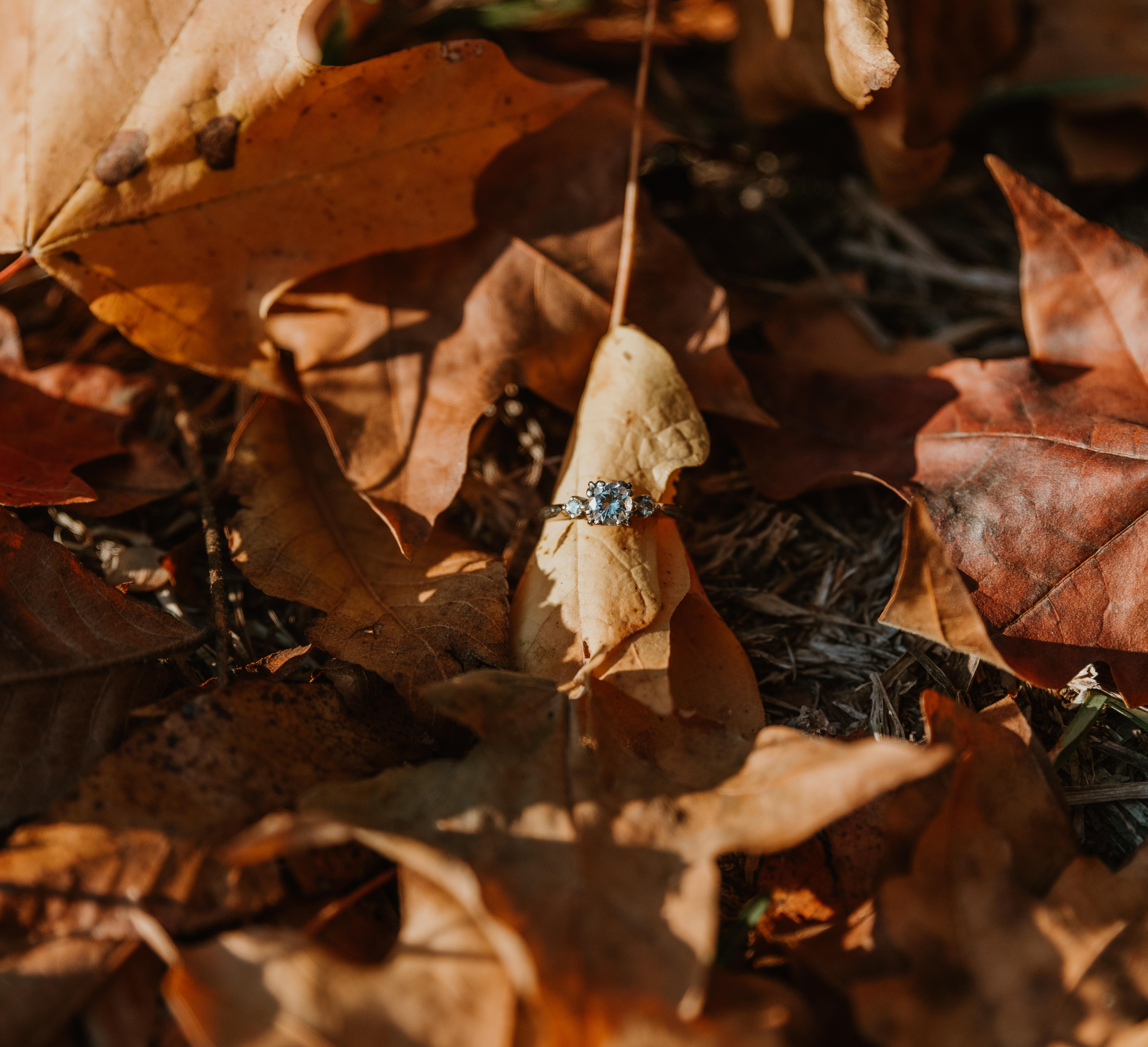 The Wedding Website of Kaitlyn Davies and Grayson Myers
