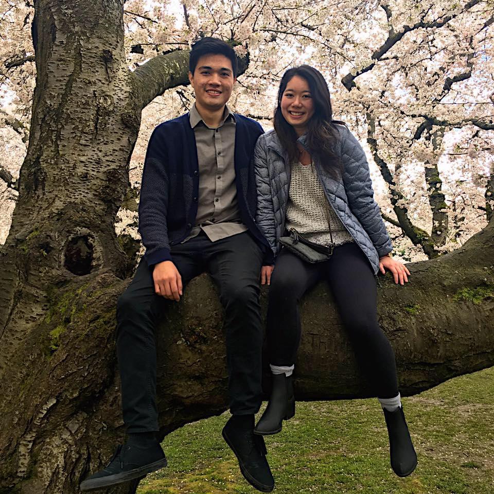 Cherry blossom season in Seattle!