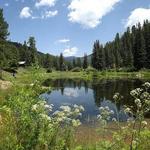 Santa Fe National Forest