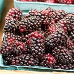 Salem Saturday Market