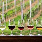 Go For a Wine Tasting