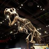 Orlando Science Center