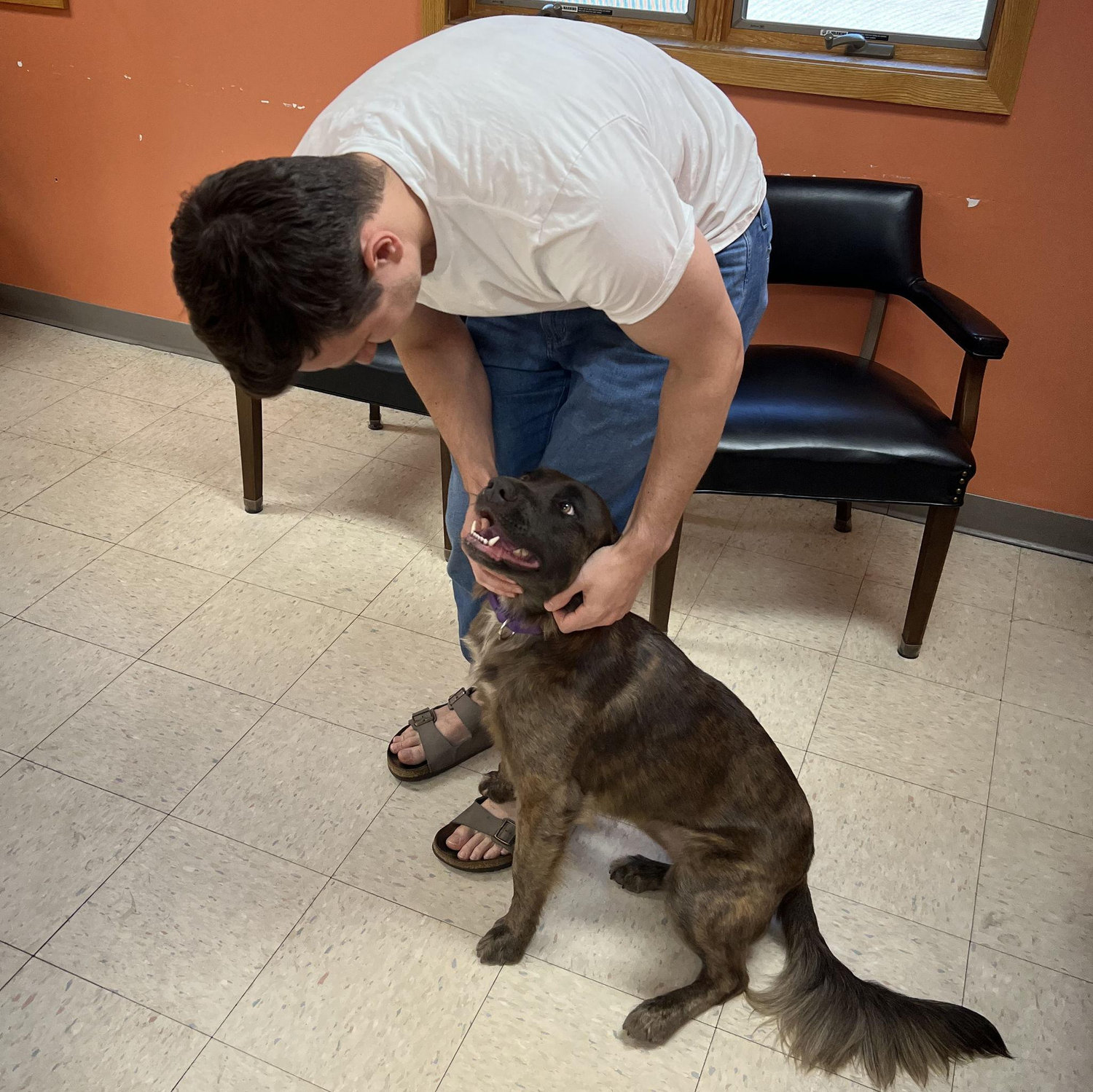 The day we adopted our sweet girl Bailey!