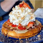 Mount Bakery Cafe Downtown