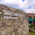 Saint Louis Zoo