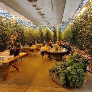 A Unique Dining Experience in Fridheimar, Iceland!