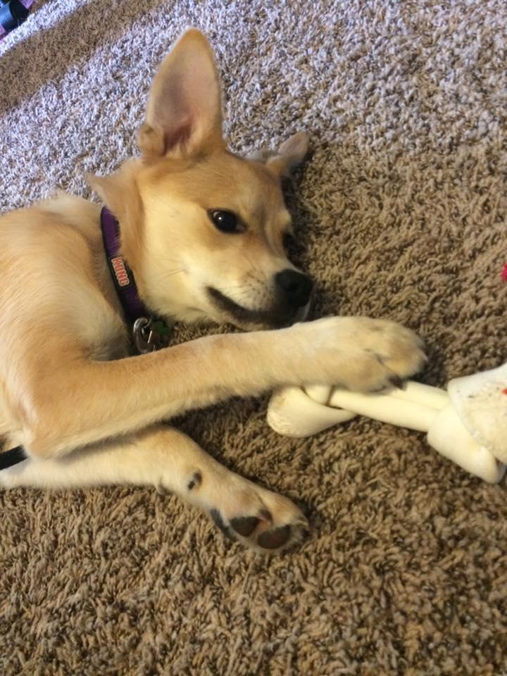 The Wedding Website of Zachary Donnelly and Alexandra Dulin