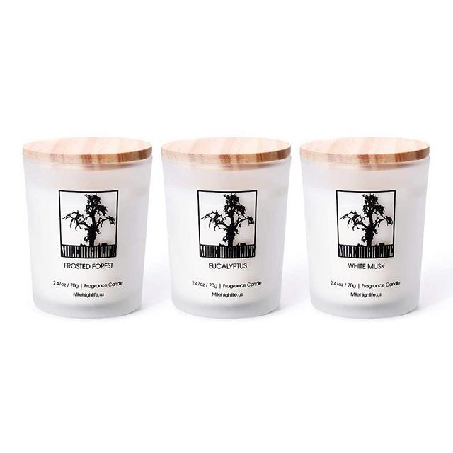 Natural Soy Jar Candle | White Musk | Eucalyptus | Frosted Forest Scent | 3 in 1 Gift Pack | Rich Scented | Hand Poured | Long Lasting Scent | 2.47 Oz X 3