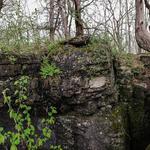 Oakfield Ledge State Natural Area