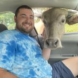 Wild Animal Safari - Springfield/Strafford, Missouri