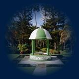 The Botanical Gardens