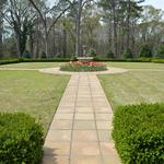 Whimsical Botanical Gardens