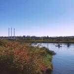 Old Mill District