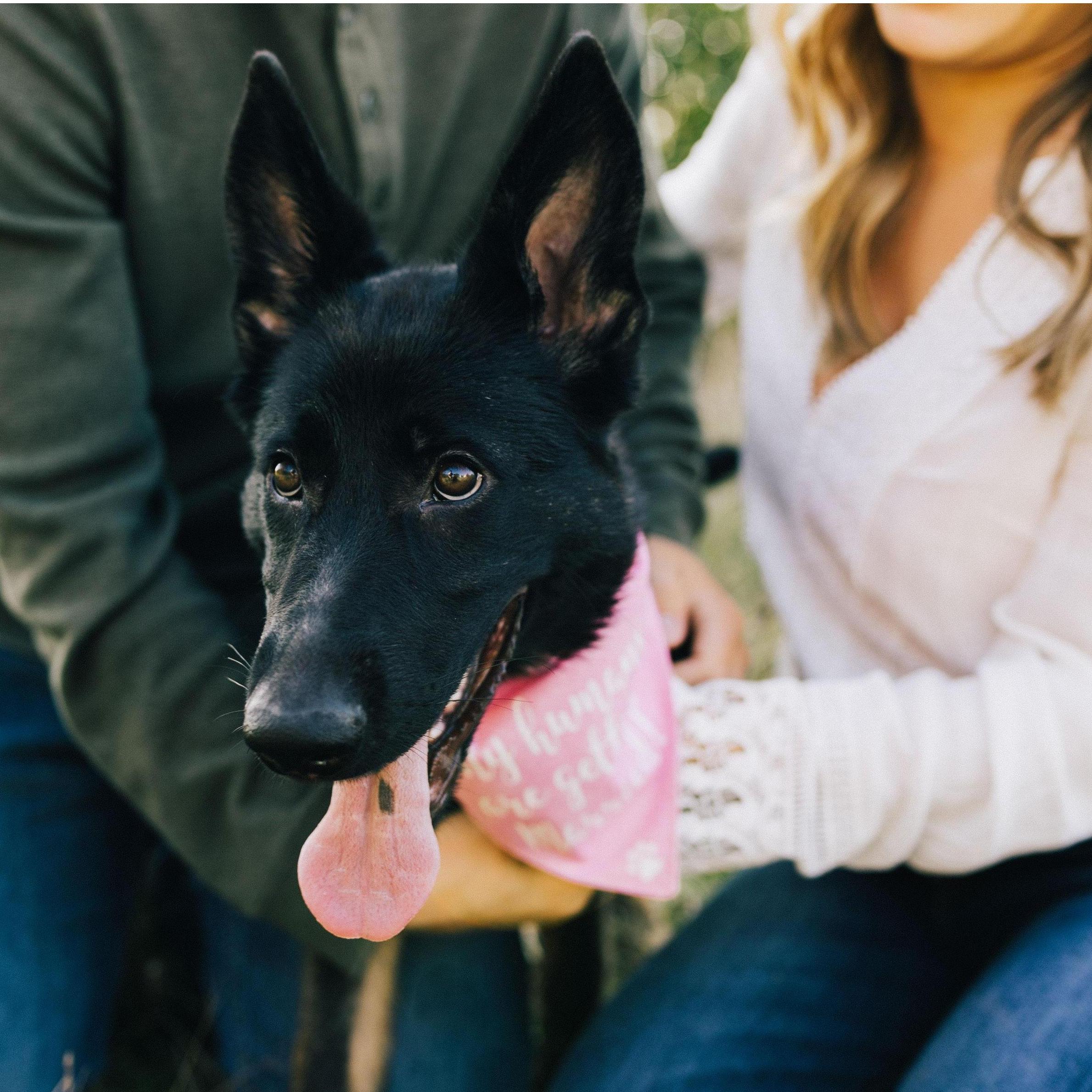 Hazel is growing so much! 

Photo Credit: Boy Girl Beauty World