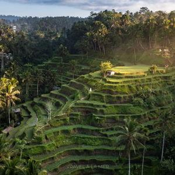 Our Honeymoon Fund ~ Bali