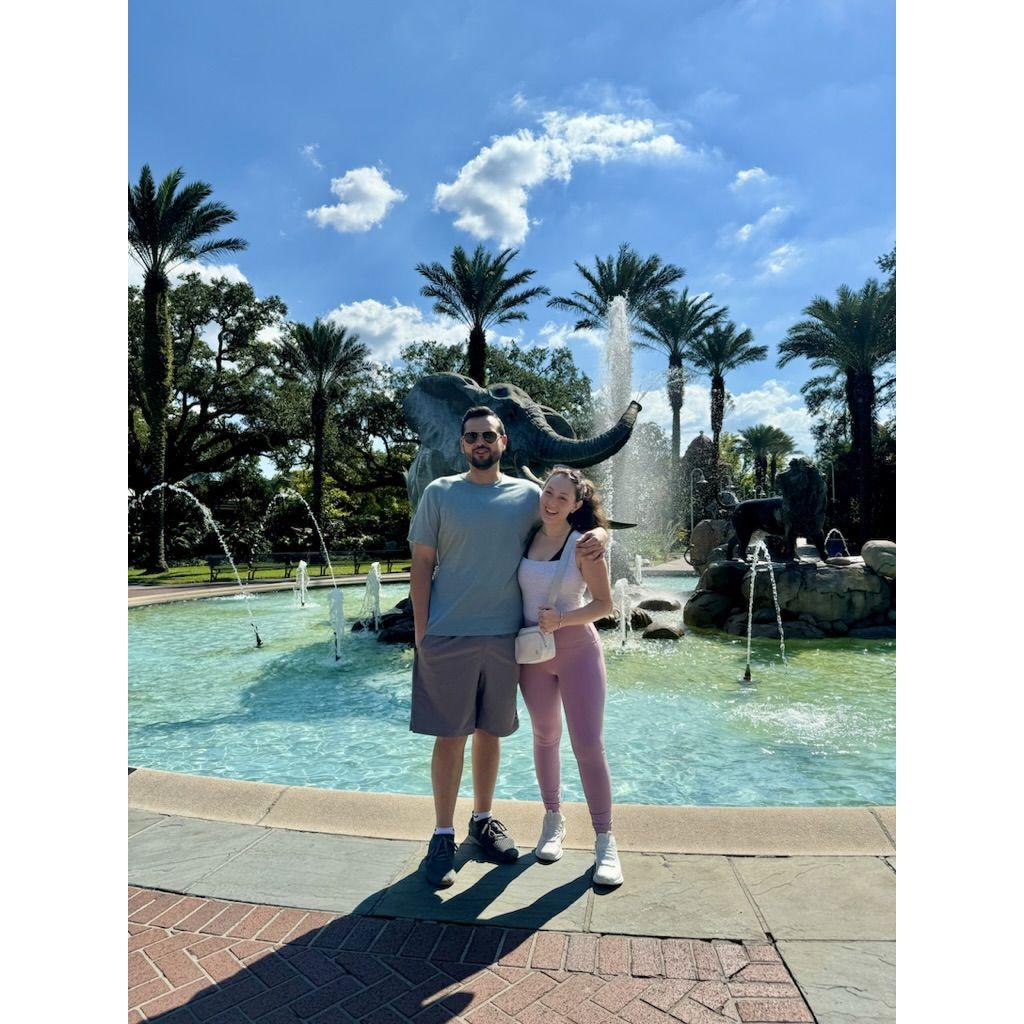 New Orleans Audubon Zoo