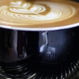 Essex Coffee and Tea Company