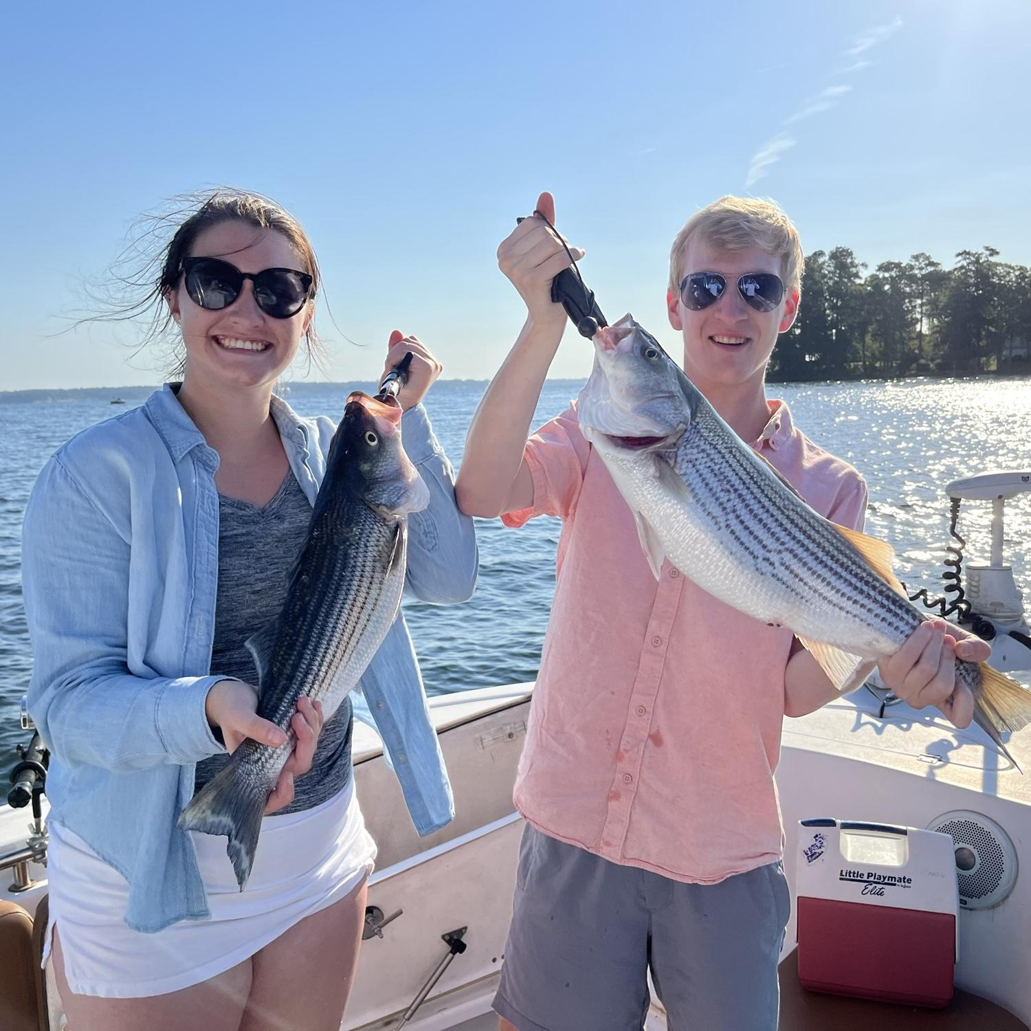 June 6, 2022
Early bird catches 39 fish!