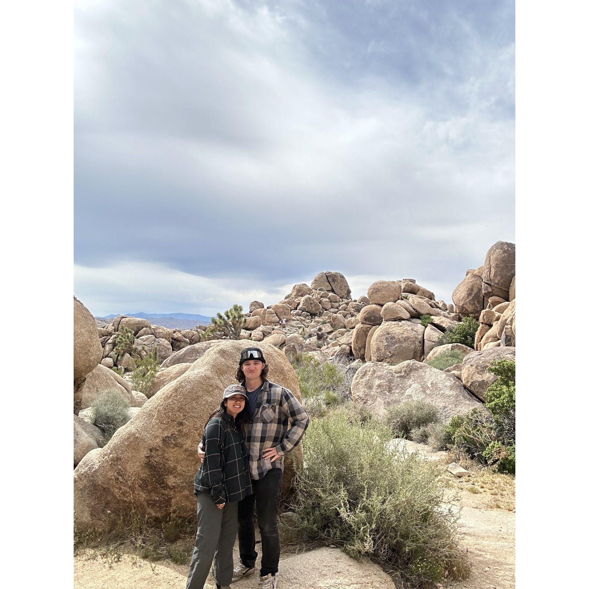 Joshua Tree