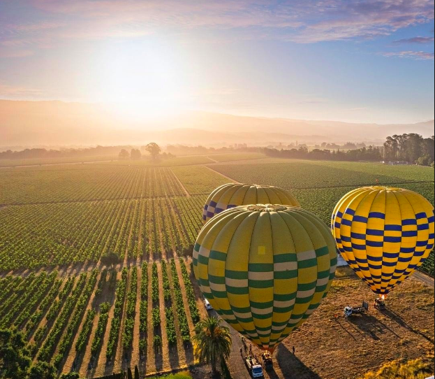 The Wedding Website of Sara Potgeter and Carl Gboney