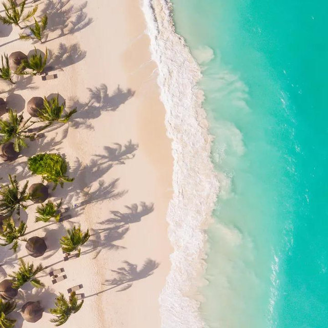 Snorkeling for Two in Zanzibar