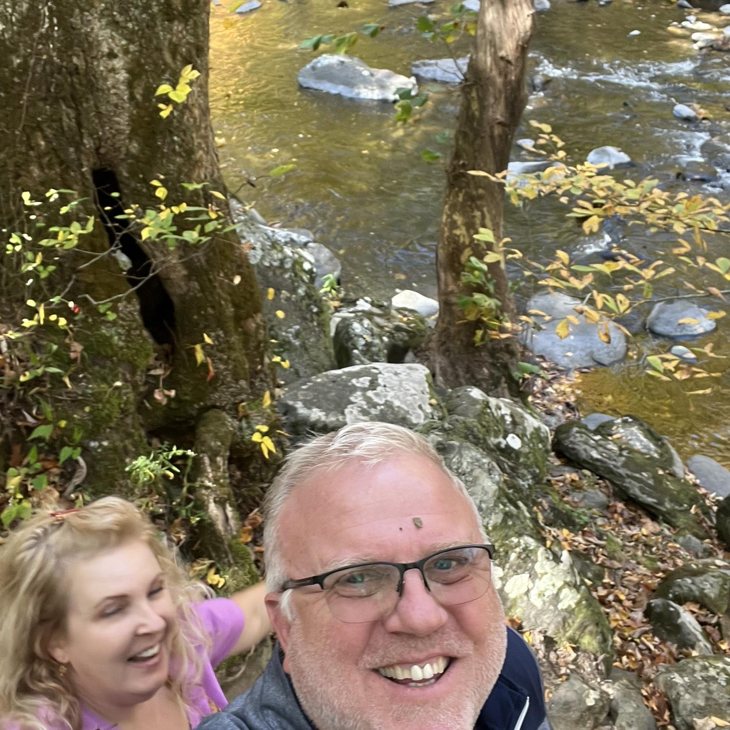 Leaves in The Great Smoky Mountains!