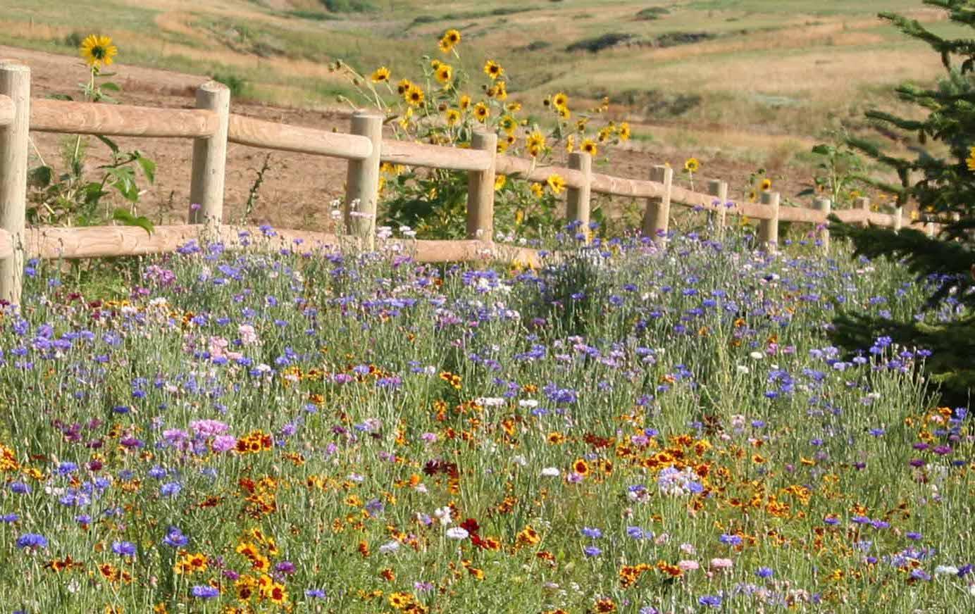 The Wedding Website of Alexis Qualls and Aaron Philo