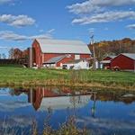 Rockbridge Vineyard & Brewery