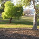 Rotary Community Park & Playgrounds