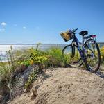 Bike Trails Cape Cod National Seashore