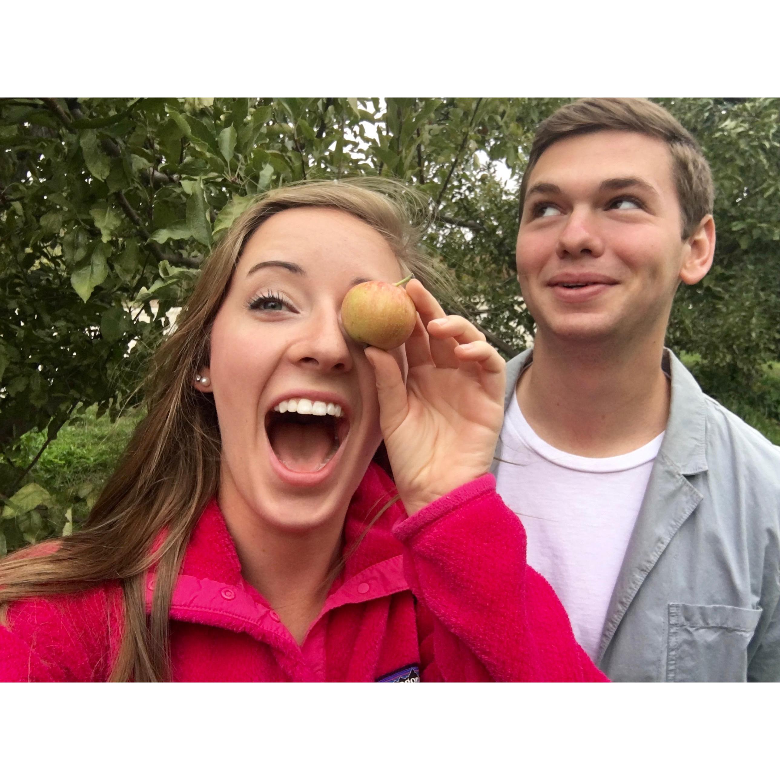 The "apple of my eye"