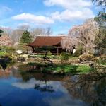 Shofuso Japanese House and Garden