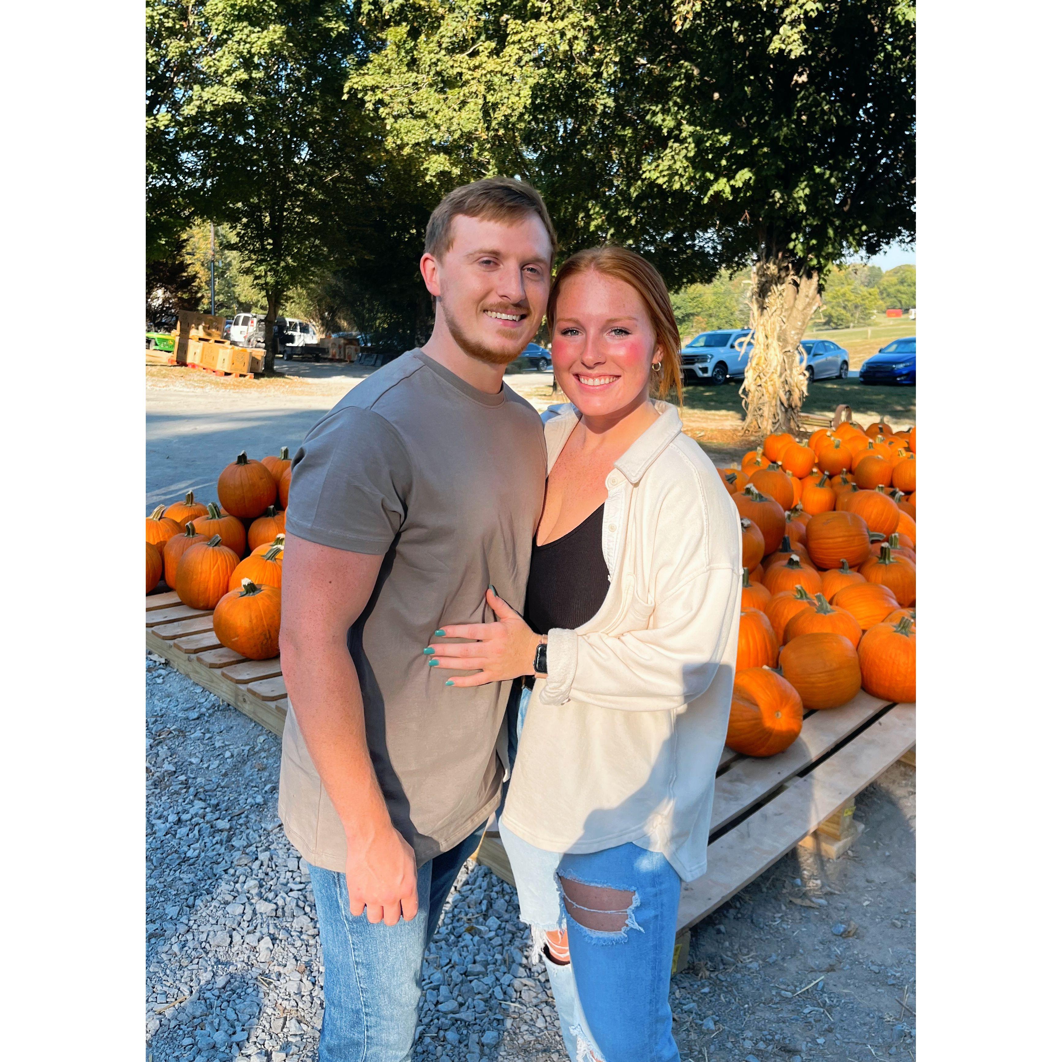 More pumpkin patches!