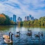 Piedmont Park