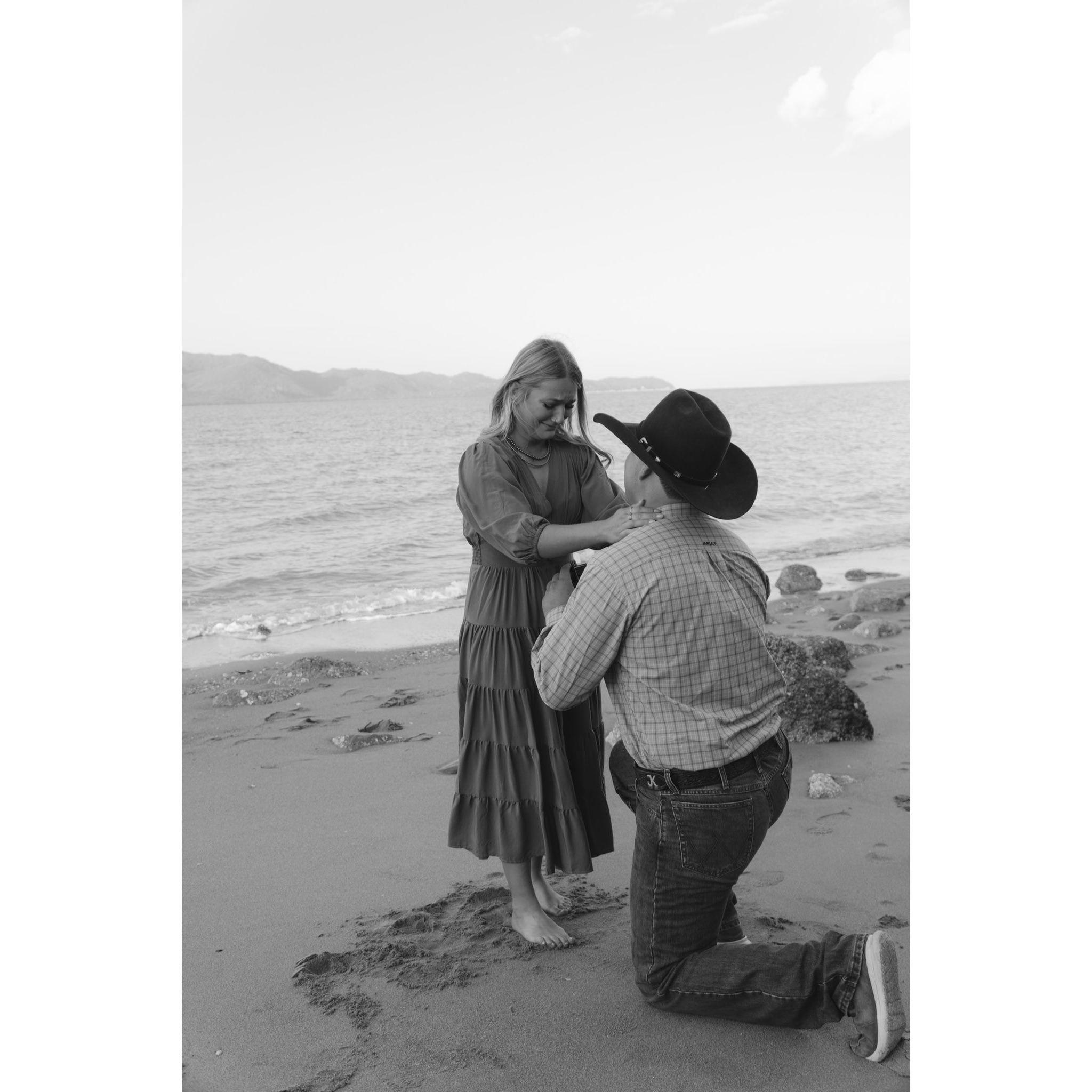 When Jack dropped on one knee and asked Brook to marry him during a couples photoshoot for Christmas cards.